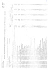 Vista preliminar de documento ANEXO 6 - N° 0028