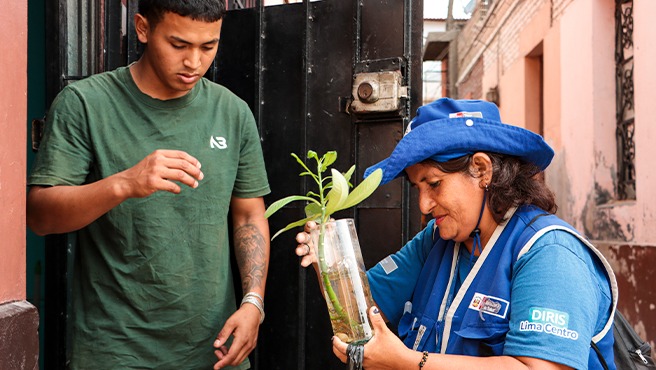 Diris Lima Centro: identifican más de 224 000 potenciales criaderos del zancudo que transmite el dengue