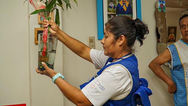 Diris Lima Centro: identifican más de 224 000 potenciales criaderos del zancudo que transmite el dengue