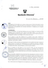 Vista preliminar de documento R.D. 0100-2024