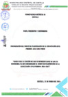 Vista preliminar de documento BASES DE PDT
