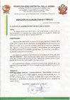 Vista preliminar de documento R.A.439-2013