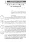 Vista preliminar de documento RDR 097-2024