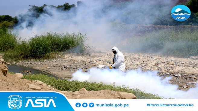 La Municipalidad Distrital de Asia a través de la Sub Gerencia de Gestión Ambiental continua con el plan de fumigación en todo el distrito, con la finalidad de erradicar el zancudo trasmisor del dengue.
De esta manera, el alcalde Isaías Alcántara Malásquez continúa trabajando por nuestro distrito y manteniendo el compromiso de velar por la salud e integridad de nuestros vecinos.
#MunicipalidadDistritalDeAsia
#PorelDesarrollodeAsia
#IsaiasAlcantaraAlcaldedeAsia