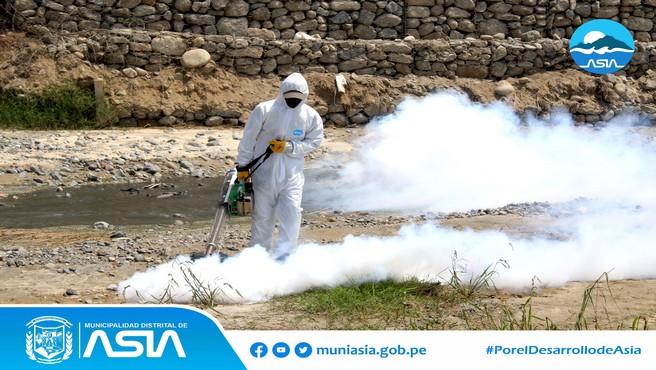 La Municipalidad Distrital de Asia a través de la Sub Gerencia de Gestión Ambiental continua con el plan de fumigación en todo el distrito, con la finalidad de erradicar el zancudo trasmisor del dengue.
De esta manera, el alcalde Isaías Alcántara Malásquez continúa trabajando por nuestro distrito y manteniendo el compromiso de velar por la salud e integridad de nuestros vecinos.
#MunicipalidadDistritalDeAsia
#PorelDesarrollodeAsia
#IsaiasAlcantaraAlcaldedeAsia