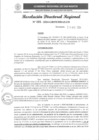 Vista preliminar de documento RDR 101-2024