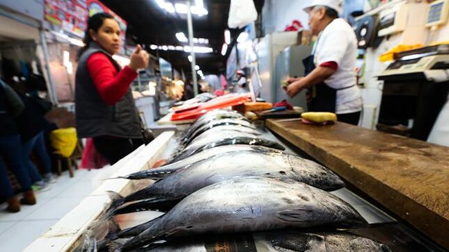 Minsa promueve una Semana Santa nutritiva recomendando consumo de pescado de carne oscura