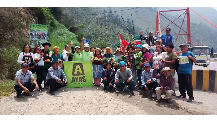 Ayas 1_Mesa de trabajo 1