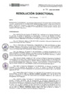 Vista preliminar de documento RD-88-2024-DE-HEVES