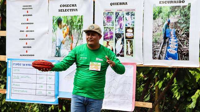 PASCO CACAO