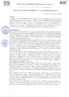 Vista preliminar de documento Resolucion