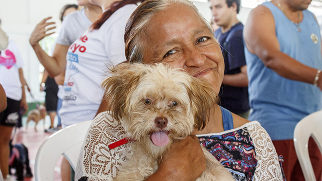 Campaña veterinaria “Mascotas felices” registró 660 atenciones gratuitas.