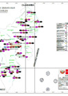 Vista preliminar de documento MAPA DE RIESGOS Y DESASTRES - DISTRITO DE SANAGORÁN