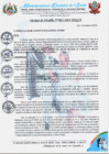 Vista preliminar de documento DA 001-2024 Aprobacion del REGLAMENTO INTERNO DEL CIAM