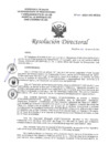 Vista preliminar de documento RESOLUCION DIRECTORAL N°050-2024-DG-HEJCU