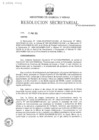 Vista preliminar de documento RS N° 021-2024-MINEM-SG