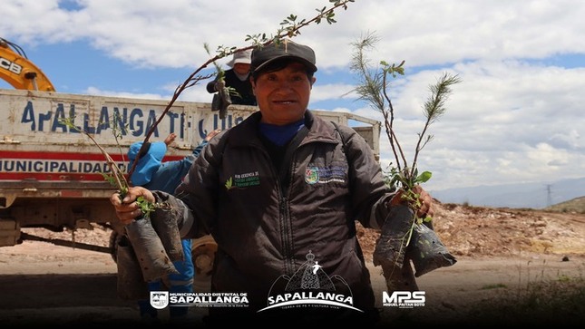 Mas de 300 plantaciones, Forestaron el paraje de Iscocuzana