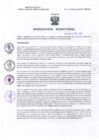 Vista preliminar de documento Resolucion Directoral 005