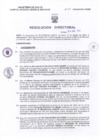 Vista preliminar de documento Resolucion Directoral 001