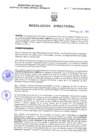 Vista preliminar de documento Resolucion Directoral 313