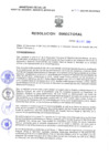Vista preliminar de documento Resolucion Directoral 312
