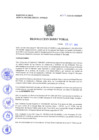 Vista preliminar de documento Resolucion Directoral 304
