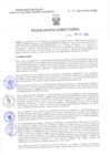 Vista preliminar de documento Resolucion Directoral 306
