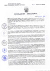 Vista preliminar de documento Resolucion Directoral 311