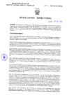 Vista preliminar de documento Resolucion Directoral 302
