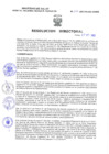 Vista preliminar de documento Resolucion Directoral 299