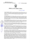 Vista preliminar de documento Resolucion Directoral 298