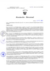 Vista preliminar de documento Resolucion Directoral 293
