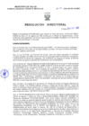 Vista preliminar de documento Resolucion Directoral 287
