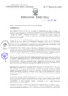 Vista preliminar de documento Resolucion Directoral 289