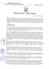 Vista preliminar de documento Resolucion Directoral 291
