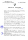 Vista preliminar de documento Resolucion Directoral 307