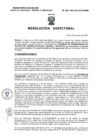Vista preliminar de documento Resolucion Directoral 238