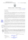 Vista preliminar de documento Resolucion Directoral 013