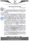 Vista preliminar de documento rgm95