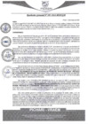 Vista preliminar de documento rgm97