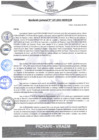 Vista preliminar de documento rgm105