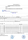 Vista preliminar de documento REPORTE DE SEGUIMIENTO POI PDF