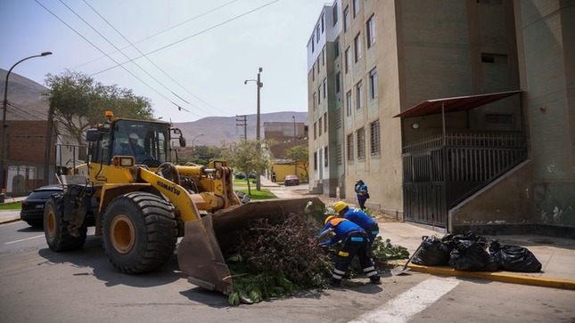 🟡 Todo un contingente de limpieza, compuesto por varias áreas municipales y liderado por el alcalde 𝐉𝐡𝐨𝐯𝐢𝐧𝐬𝐨𝐧 𝐕𝐚𝐬𝐪𝐮𝐞𝐳, se trasladó hasta la Ciudad del Deporte para llevar a cabo una serie de tareas esenciales. Entre las actividades realizadas se incluyó la remoción de residuos sólidos, la mejora de las áreas verdes, tareas de pintura y fumigación. Además, se proporcionó información relevante de manos del propio burgomaestre y de las promotoras municipales. Estas medidas se implementaron en respuesta a las solicitudes de la población, con el objetivo de mejorar la calidad de vida en esta importante zona del distrito.
