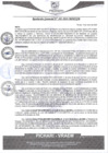 Vista preliminar de documento rgm101