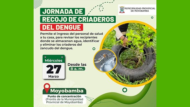 GORE San Martín y municipalidad de Moyobamba establecen campañas de identificación y eliminación de criaderos de zancudos