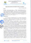 Vista preliminar de documento rgi191