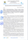Vista preliminar de documento rgi194