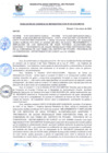 Vista preliminar de documento rgi195
