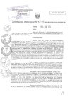 Vista preliminar de documento RD N°0041