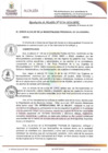 Vista preliminar de documento RAN134-2024
